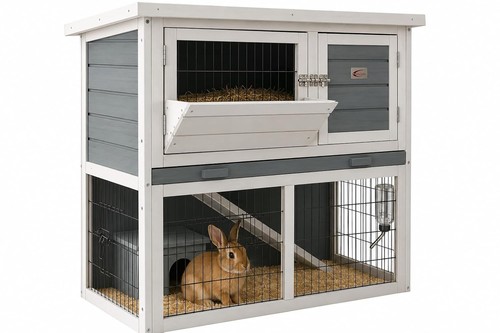 Bunny business tier - bunny, double