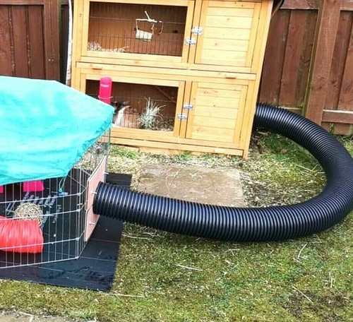2ft runaround rabbit - 2ft,