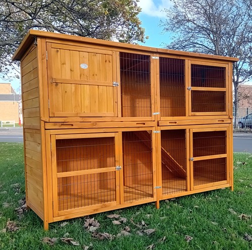 Extra large rabbit - large, hutch