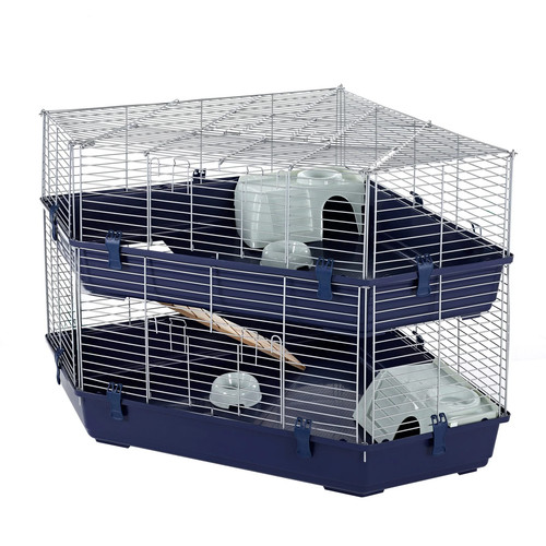 Rabbit guinea pig large - rabbit,