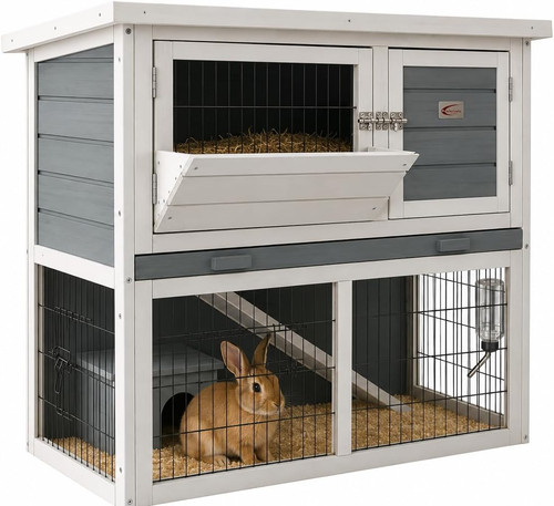 Bunny business tier - business, 2-tier