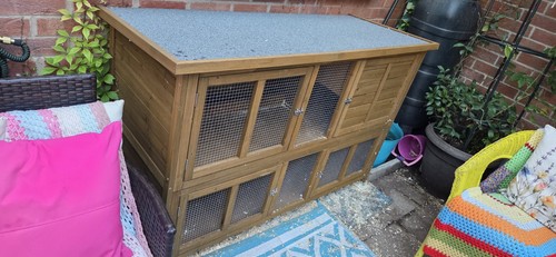 Pets home large - large, /