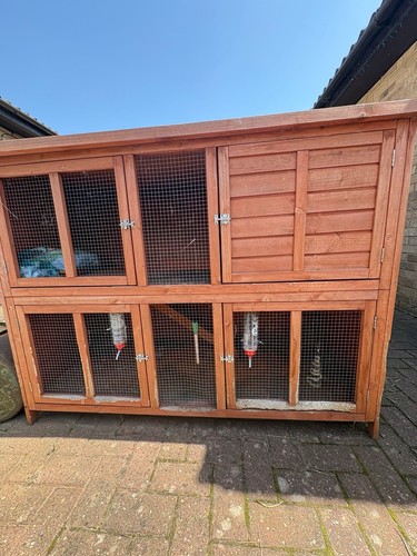 Large rabbit hutch guinea - hutch, pig