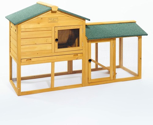 Rabbit hutch guinea - guinea, pig