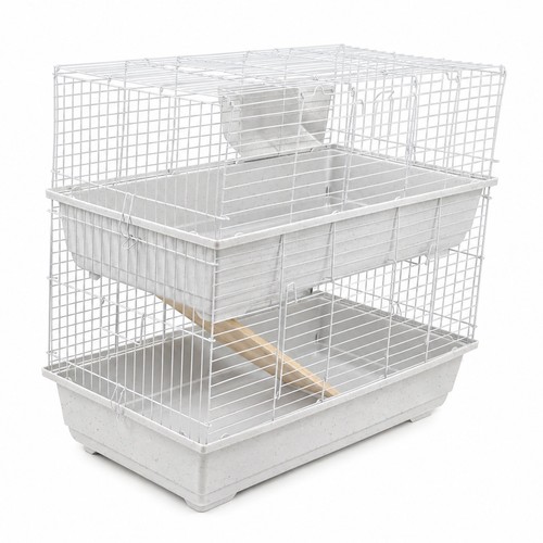 Rabbit guinea pig - rabbit, large