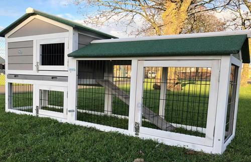 Large rabbit hutch - large, pig