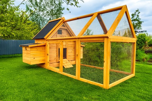 Eco600 chicken coop run - eco600,