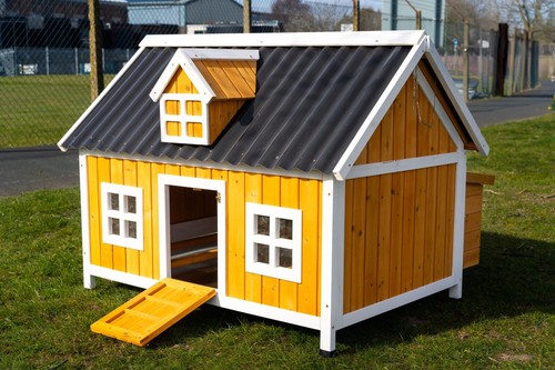 Large chicken coop - large, hen