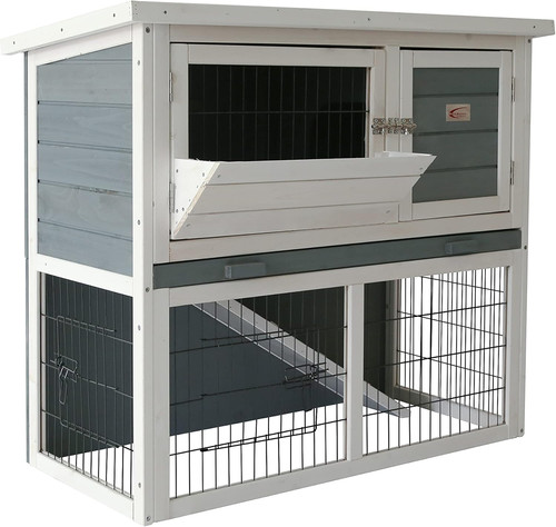 Bunny business tier - business, 2-tier
