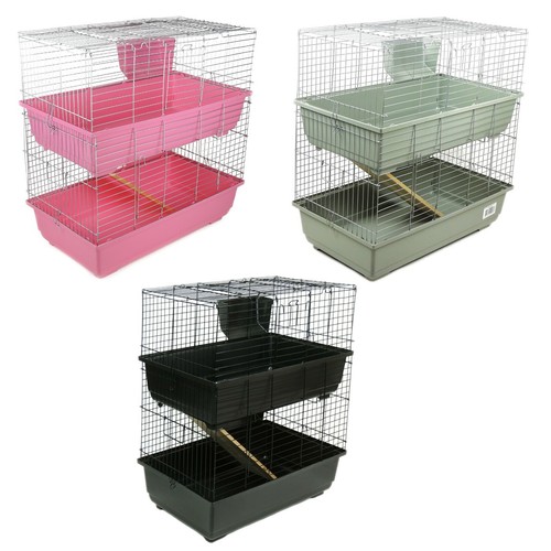 Rabbit guinea pig - pig, indoor