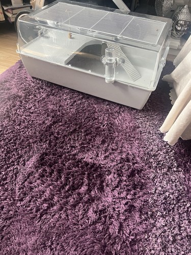 Brand new large indoor - brand,