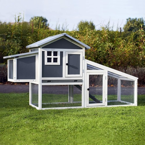 Plastic chicken coop - chicken, run