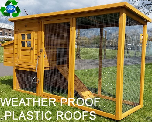 Plastic roof chicken - plastic, hen