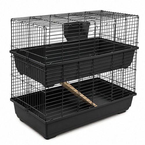 Rabbit guinea pig - rabbit,